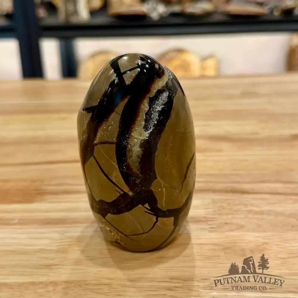 Madagascar Septarian Table Accent Sphere