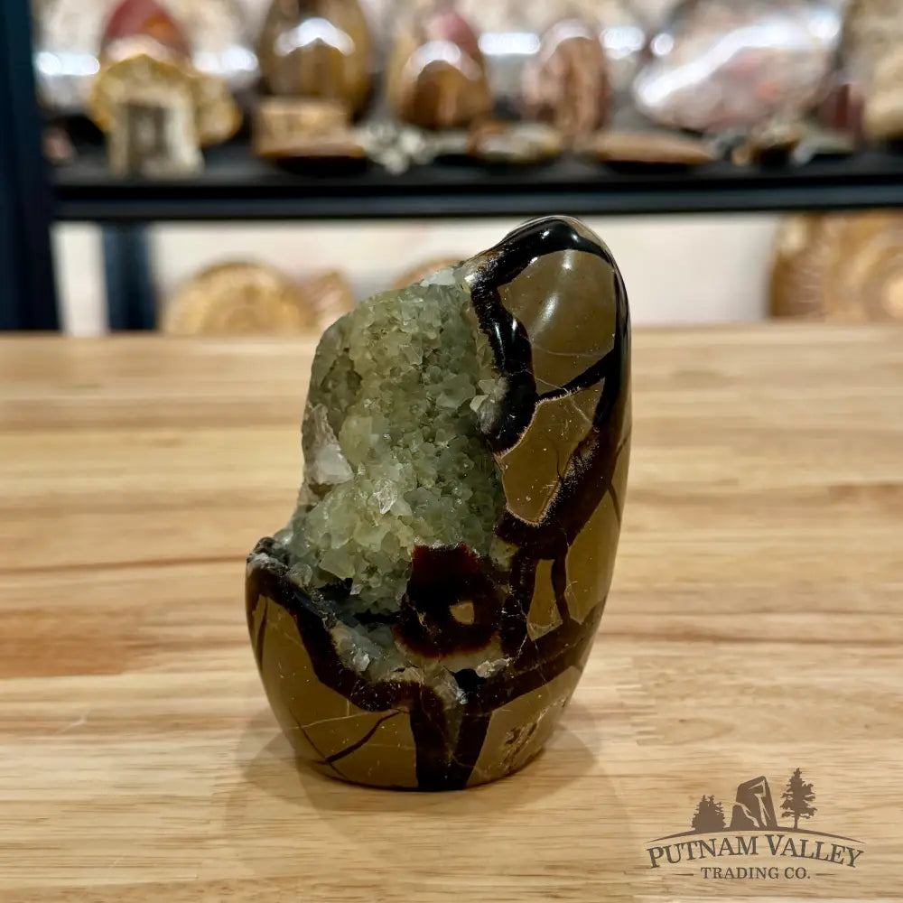 Madagascar Septarian Table Accent Sphere