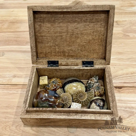 Mango Wood Tree of Life Box | India - Trinket Box