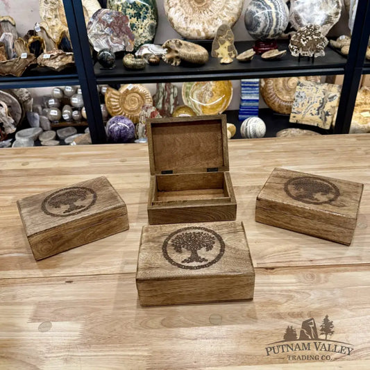 Mango Wood Tree of Life Box | India - Trinket Box