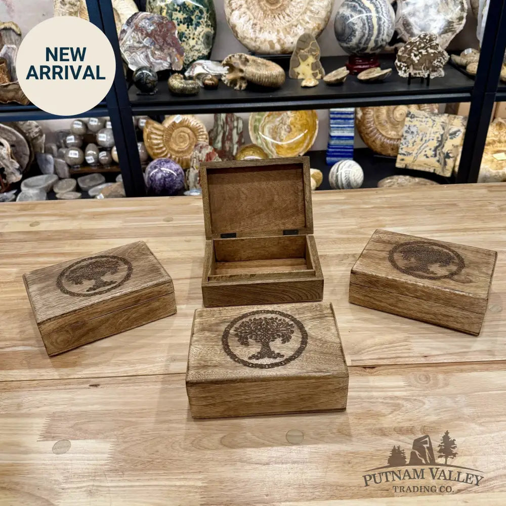 Mango Wood Tree of Life Box | India - Trinket Box