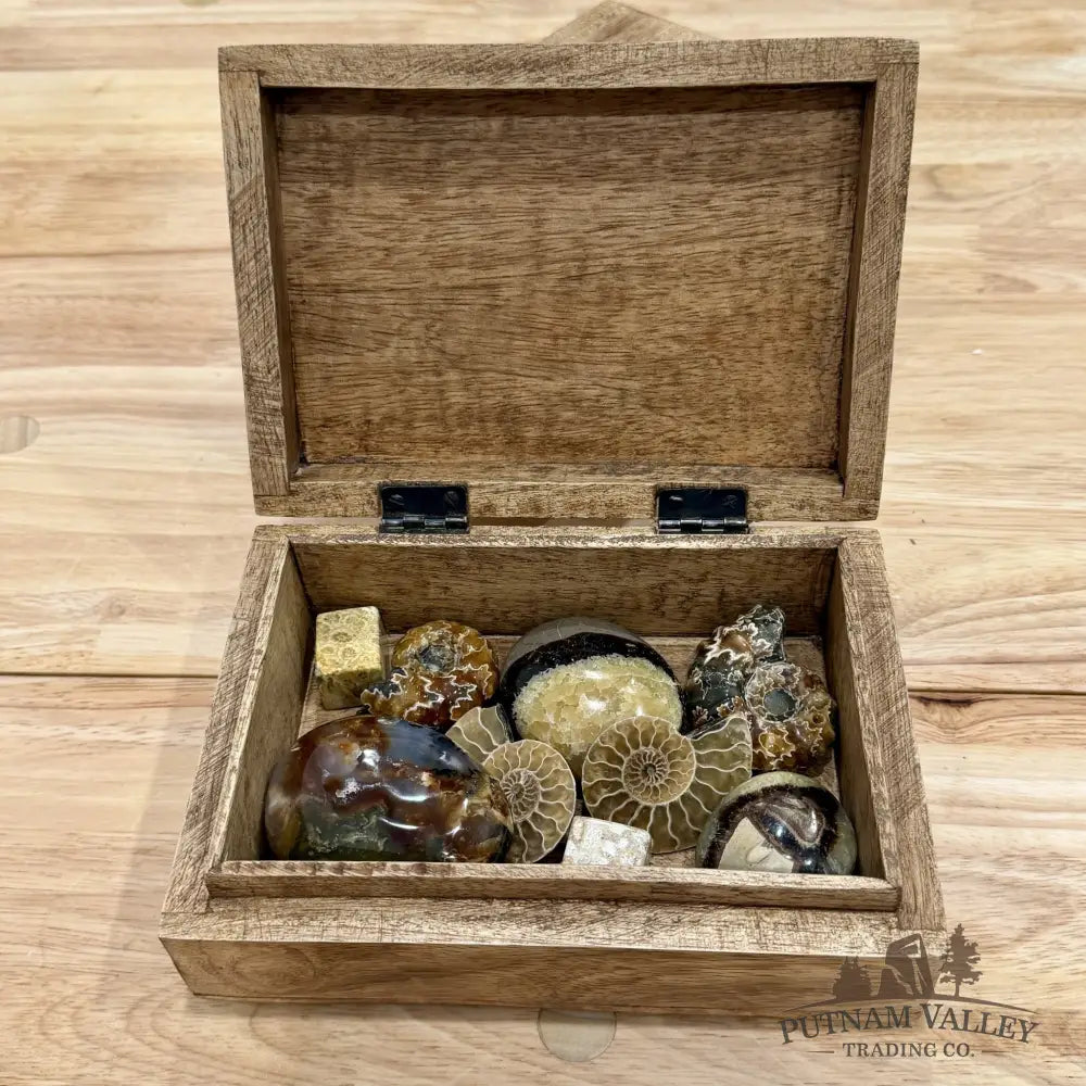 Mango Wood Tree of Life Box | India - Trinket Box