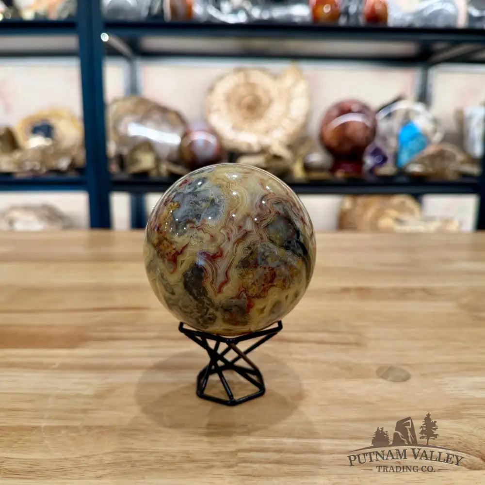 Black Metal Hexagon Sphere Stand Display Stands