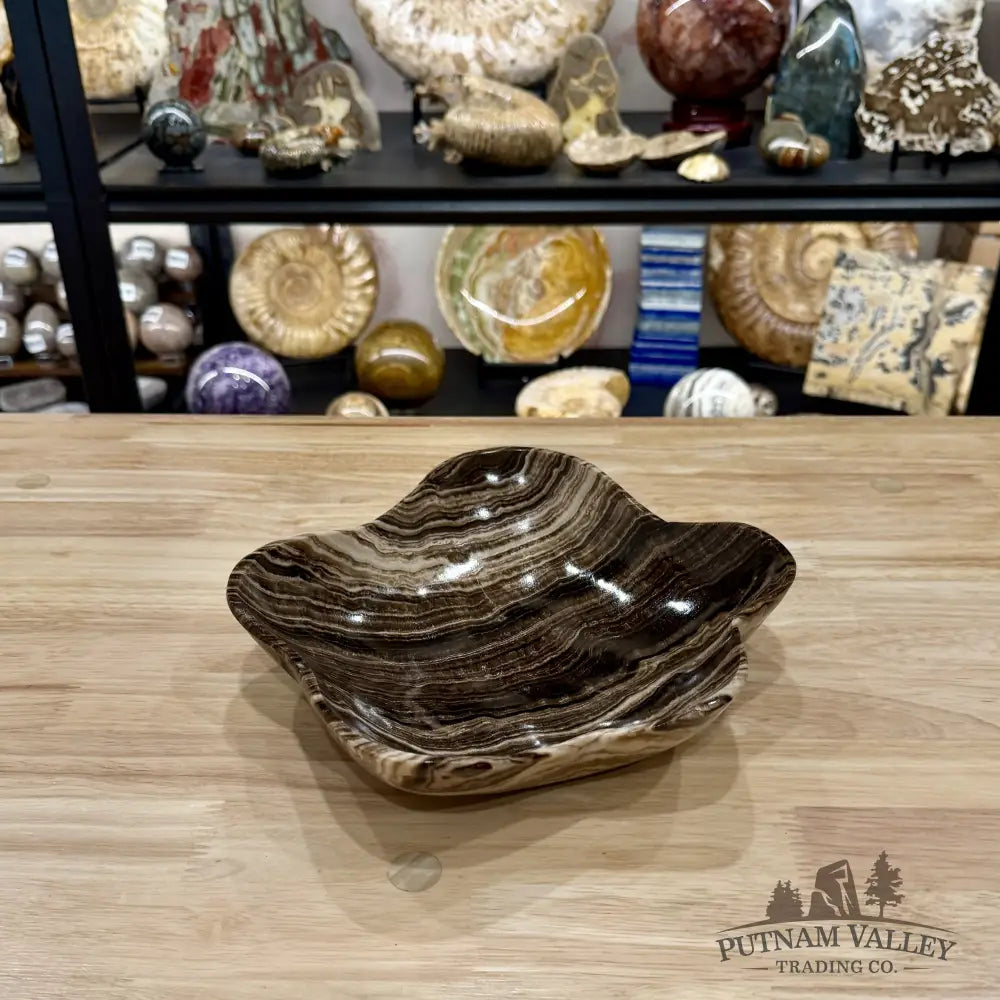 Mexican Chocolate Onyx Bowl 10’’ - Bowl