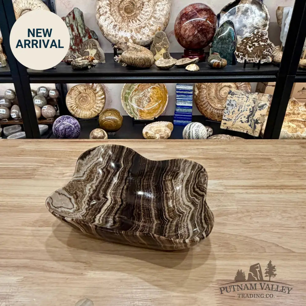 Mexican Chocolate Onyx Bowl 10.4’’ - Bowl