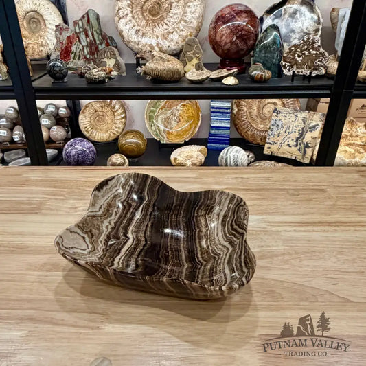 Mexican Chocolate Onyx Bowl 10.4’’ - Bowl