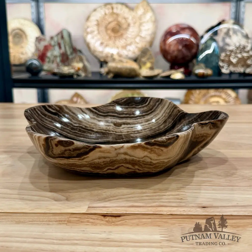 Mexican Chocolate Onyx Bowl 10’’ - Bowl