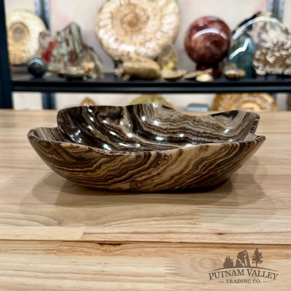 Mexican Chocolate Onyx Bowl 10’’ - Bowl