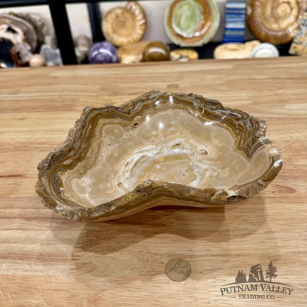 Mexican Chocolate Onyx Rustic Bowl 8’’ - Bowl