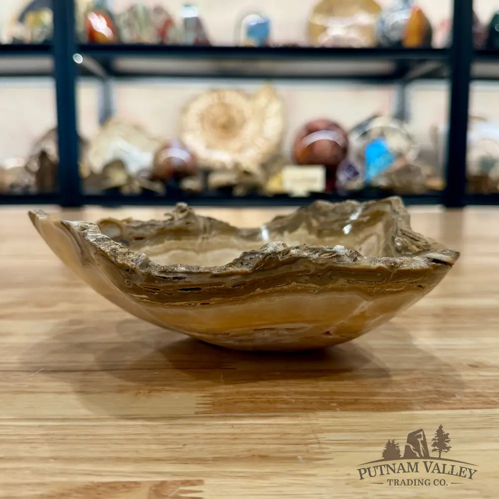 Mexican Chocolate Onyx Rustic Bowl 8’’ - Bowl