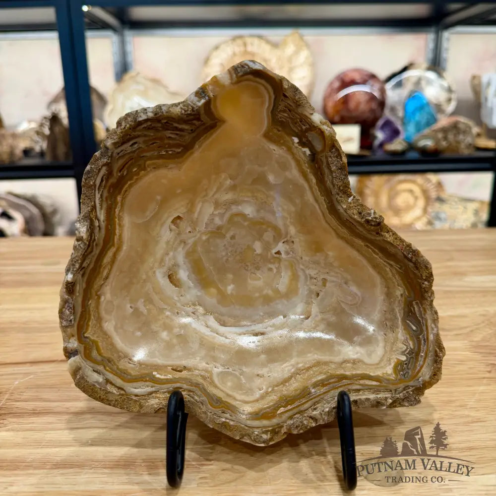Mexican Chocolate Onyx Rustic Bowl 8’’ - Bowl