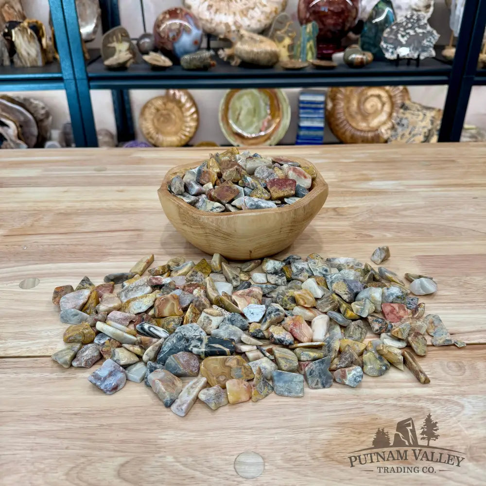 Tumbled Mexican Crazy Lace Agate (½ lb) | Freeform - Tumbled Stone