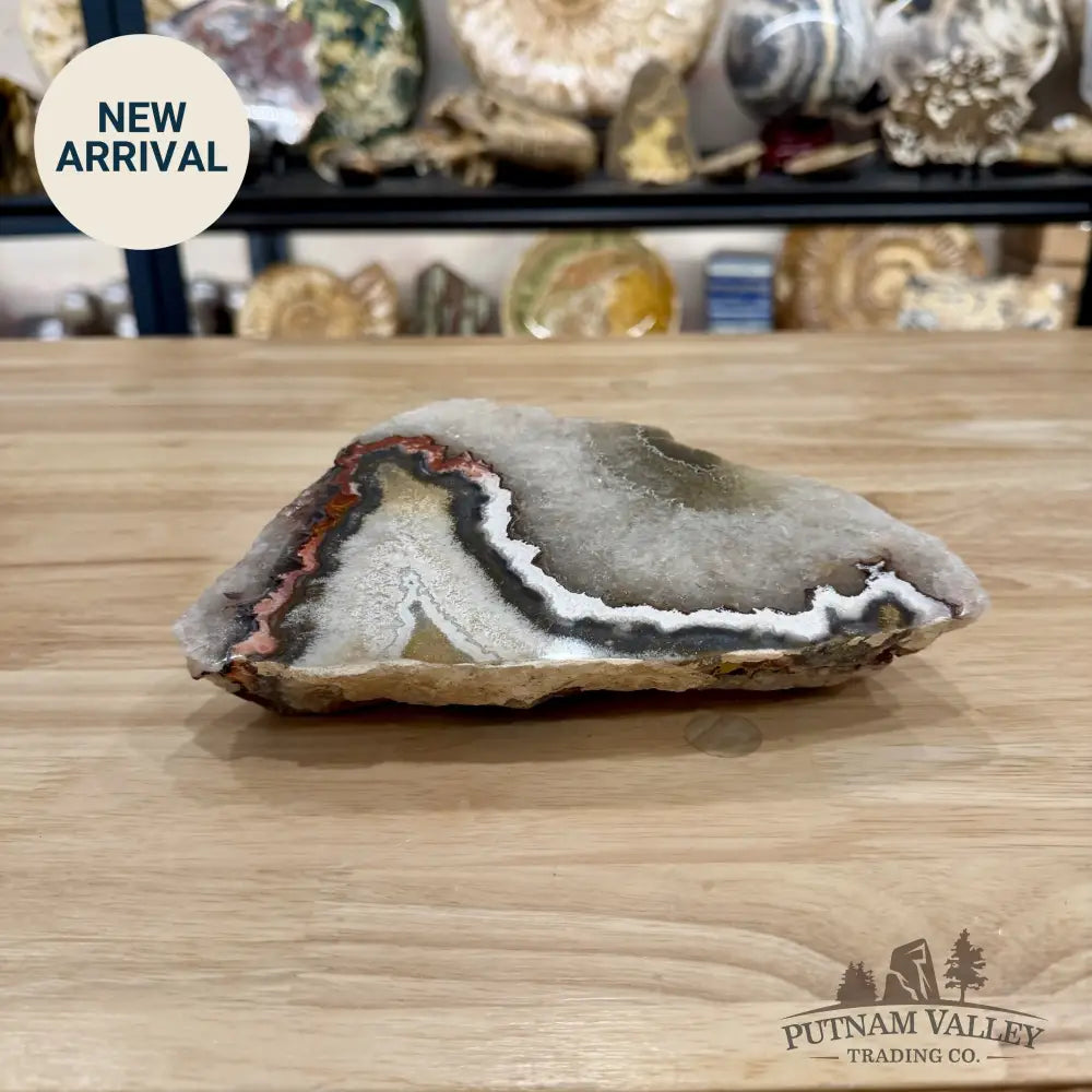 Mexican Lace Agate End Cut with Quartz Druzy 8’’ - Slab