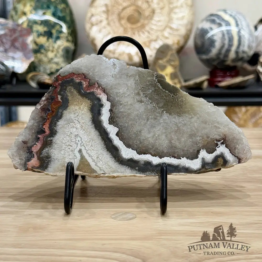 Mexican Lace Agate End Cut with Quartz Druzy 8’’ - Slab