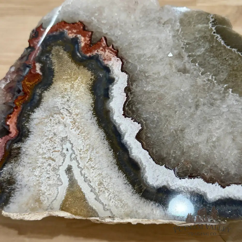 Mexican Lace Agate End Cut with Quartz Druzy 8’’ - Slab