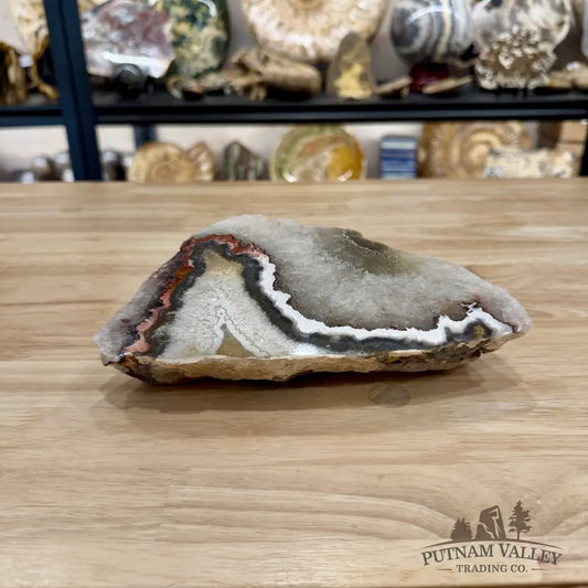Mexican Lace Agate End Cut with Quartz Druzy 8’’ - Slab