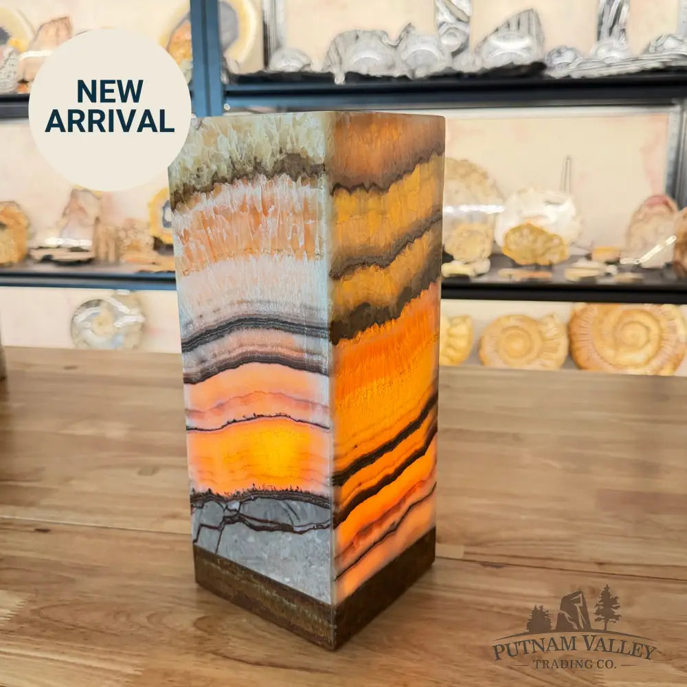 Mexican Onyx Lamp Lamp