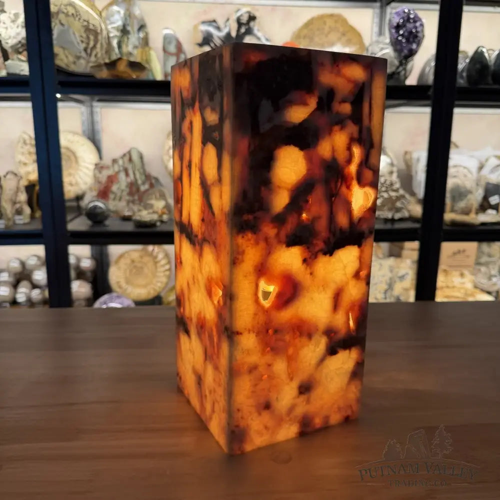 Mexican Onyx Table Lamp 13.8’’ - Lamp