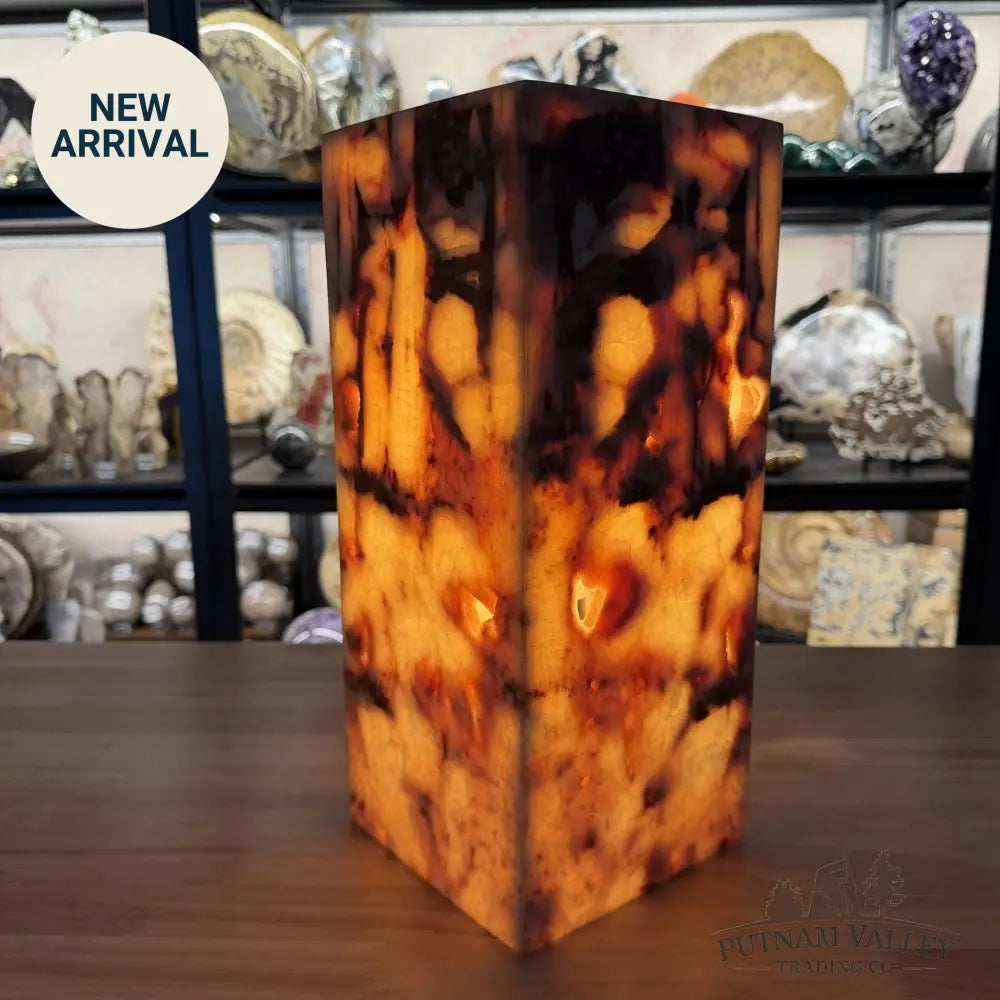 Mexican Onyx Table Lamp 13.8’’ - Lamp