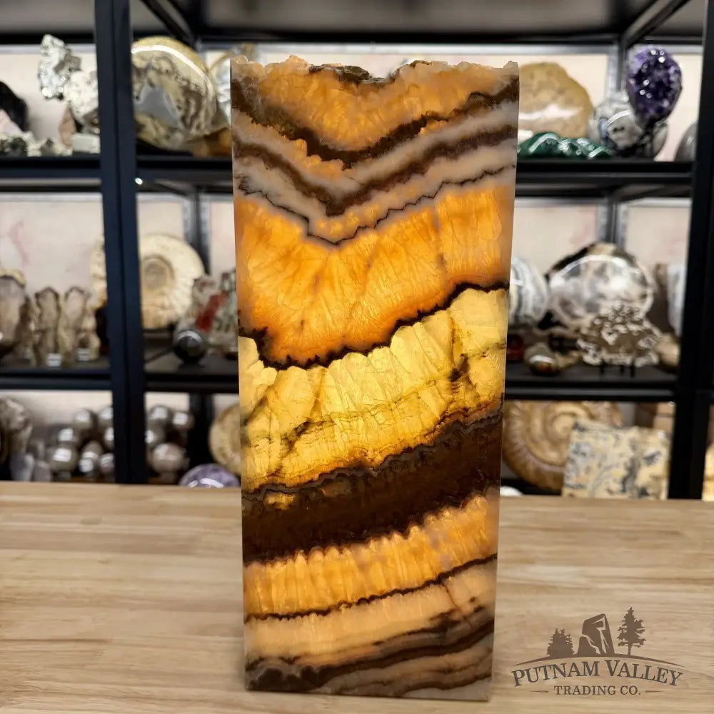 Mexican Pistachio Onyx Table Lamp 14’’ - Lamp