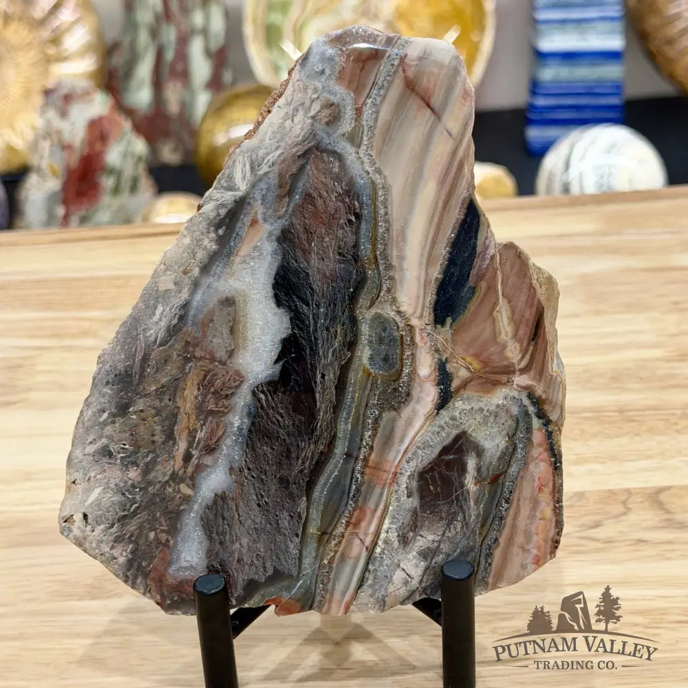 Mexican Sarape Jasper End Cut Slab 6.26’’ - Slab