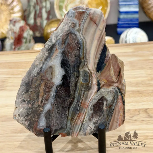 Mexican Sarape Jasper End Cut Slab 6.26’’ - Slab