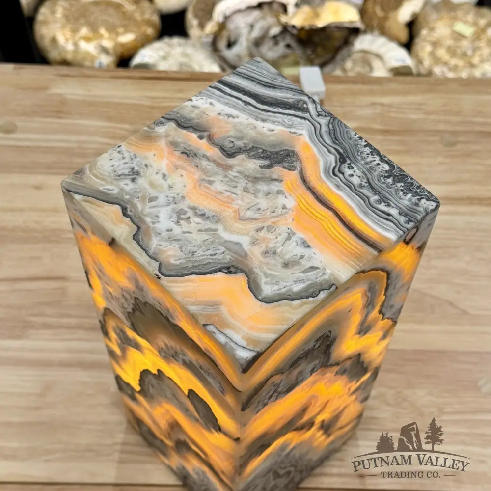 Mexican Zebra Onyx Table Lamp 13.8’’ - Lamp