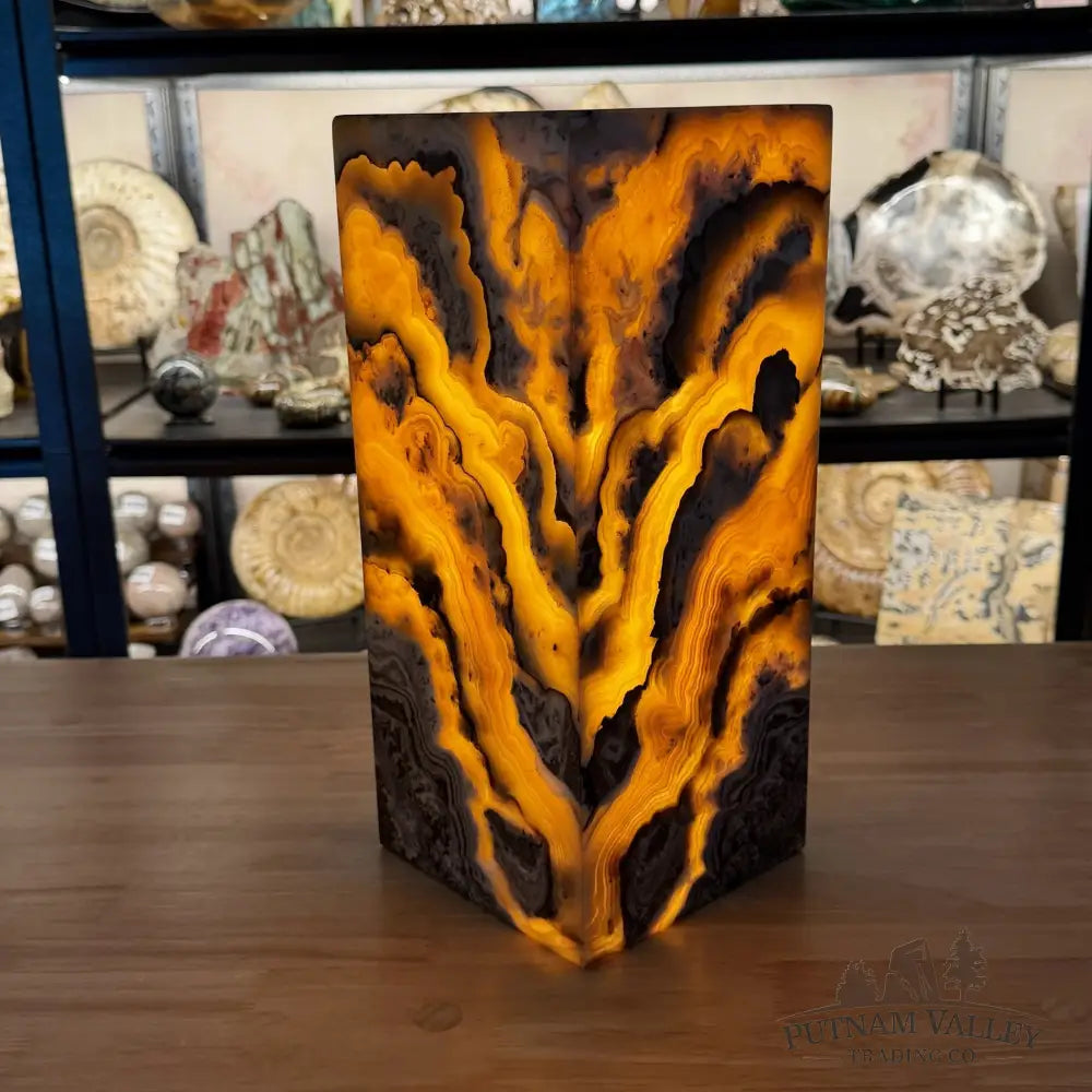 Mexican Zebra Onyx Table Lamp 13.8’’ - Lamp