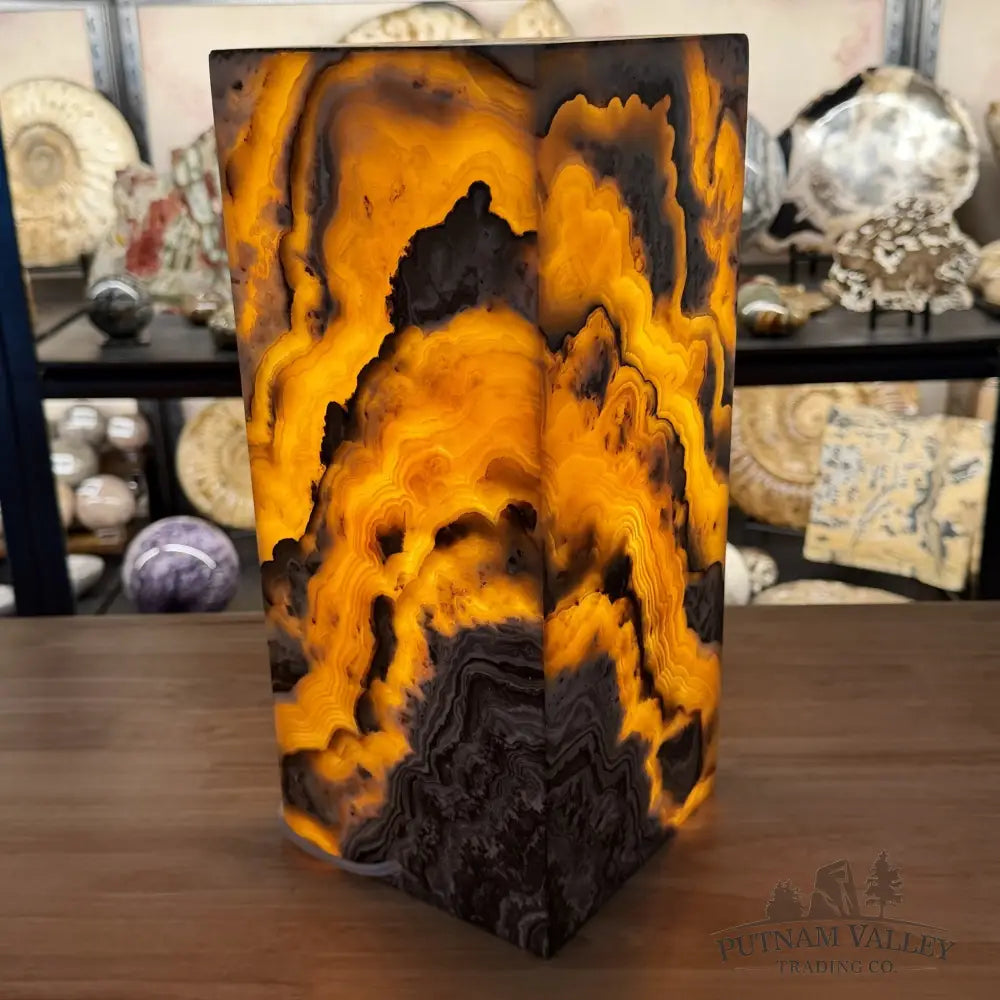 Mexican Zebra Onyx Table Lamp 13.8’’ - Lamp