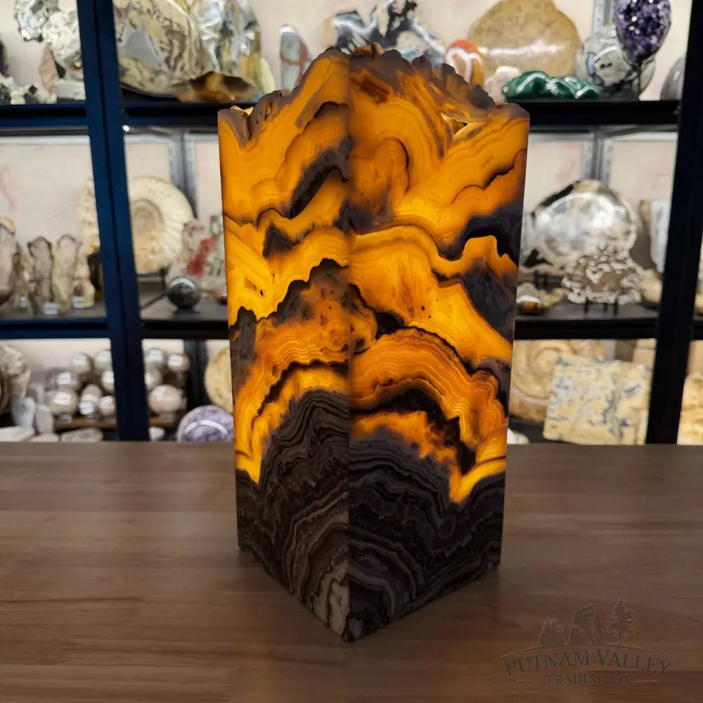 Mexican Zebra Onyx Table Lamp 14.5’’ - Lamp