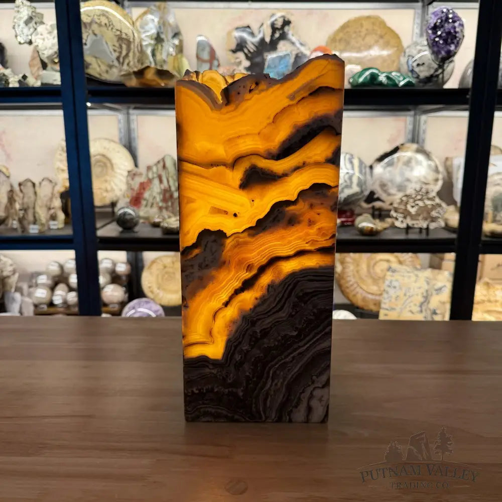 Mexican Zebra Onyx Table Lamp 14.5’’ - Lamp