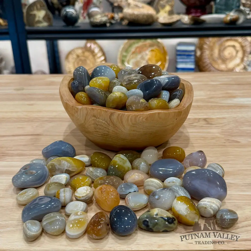 Mixed Agate Tumbles (½ lb) - Tumbled Stone