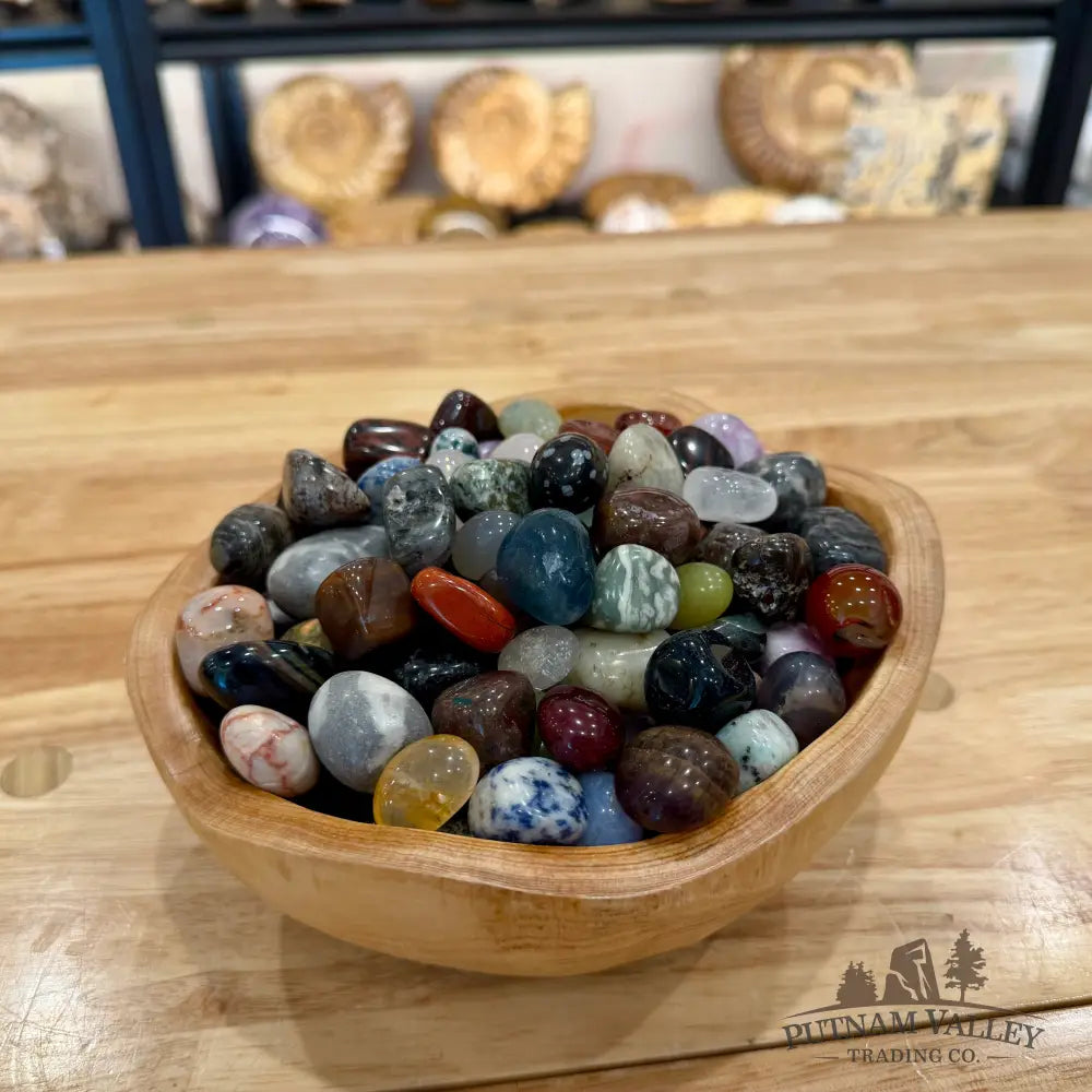 Tumbled Mixed Material Stones (½ lb) Tumbled Stone