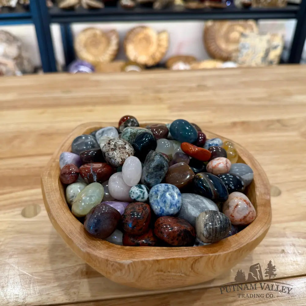 Tumbled Mixed Material Stones (½ lb) Tumbled Stone