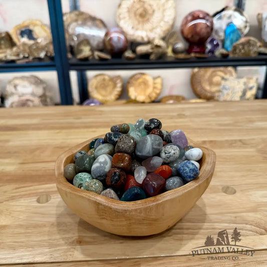 Tumbled Mixed Material Stones (½ lb) Tumbled Stone