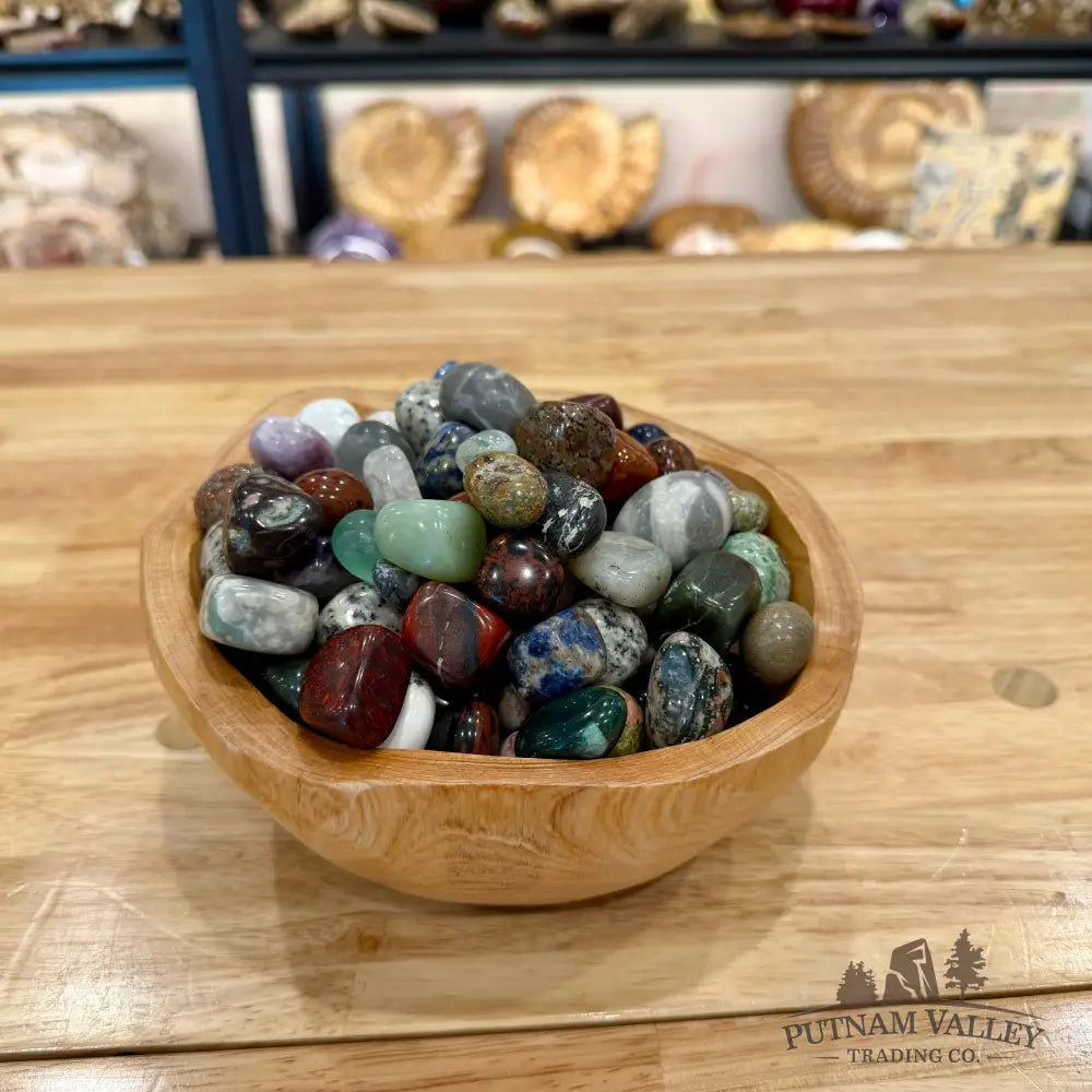 Tumbled Mixed Material Stones (½ lb) Tumbled Stone