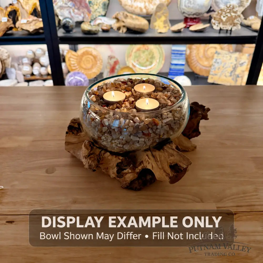 Molten Glass Bowl on Indonesian Driftwood 10.8’’ - Bowl
