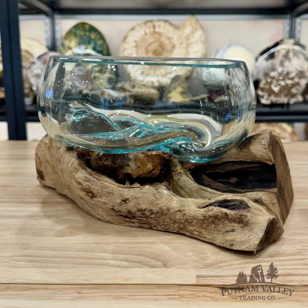 Molten Glass Bowl on Indonesian Driftwood 10.8’’ - Bowl