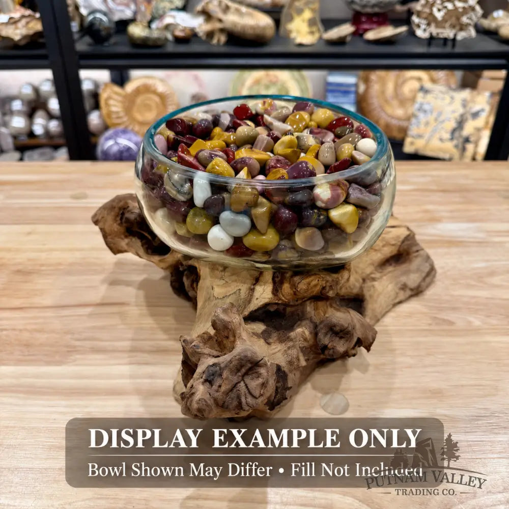 Molten Glass Bowl on Indonesian Driftwood 10.8’’ - Bowl