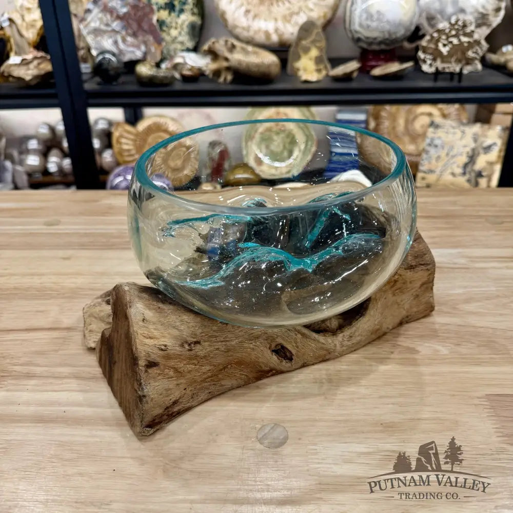 Molten Glass Bowl on Indonesian Driftwood 10.8’’ - Bowl