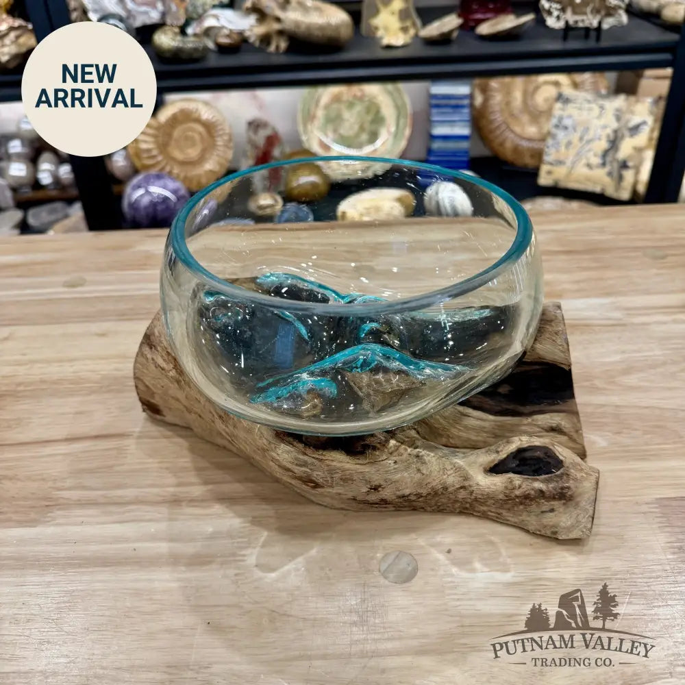 Molten Glass Bowl on Indonesian Driftwood 10.8’’ - Bowl