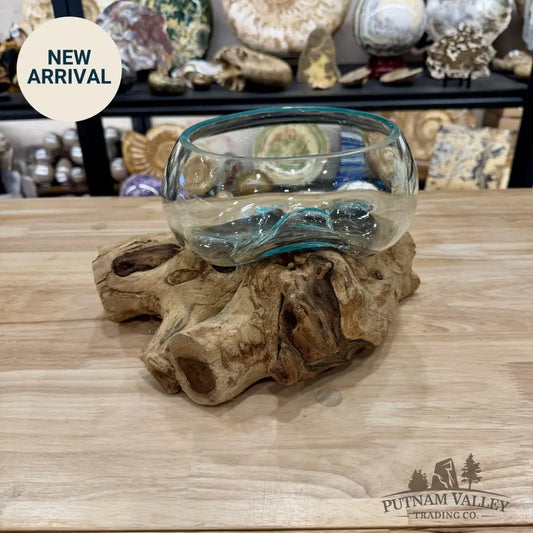Molten Glass Bowl on Indonesian Driftwood 11’’ - Bowl