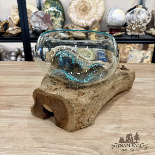 Molten Glass Bowl on Indonesian Driftwood 11’’ - Bowl