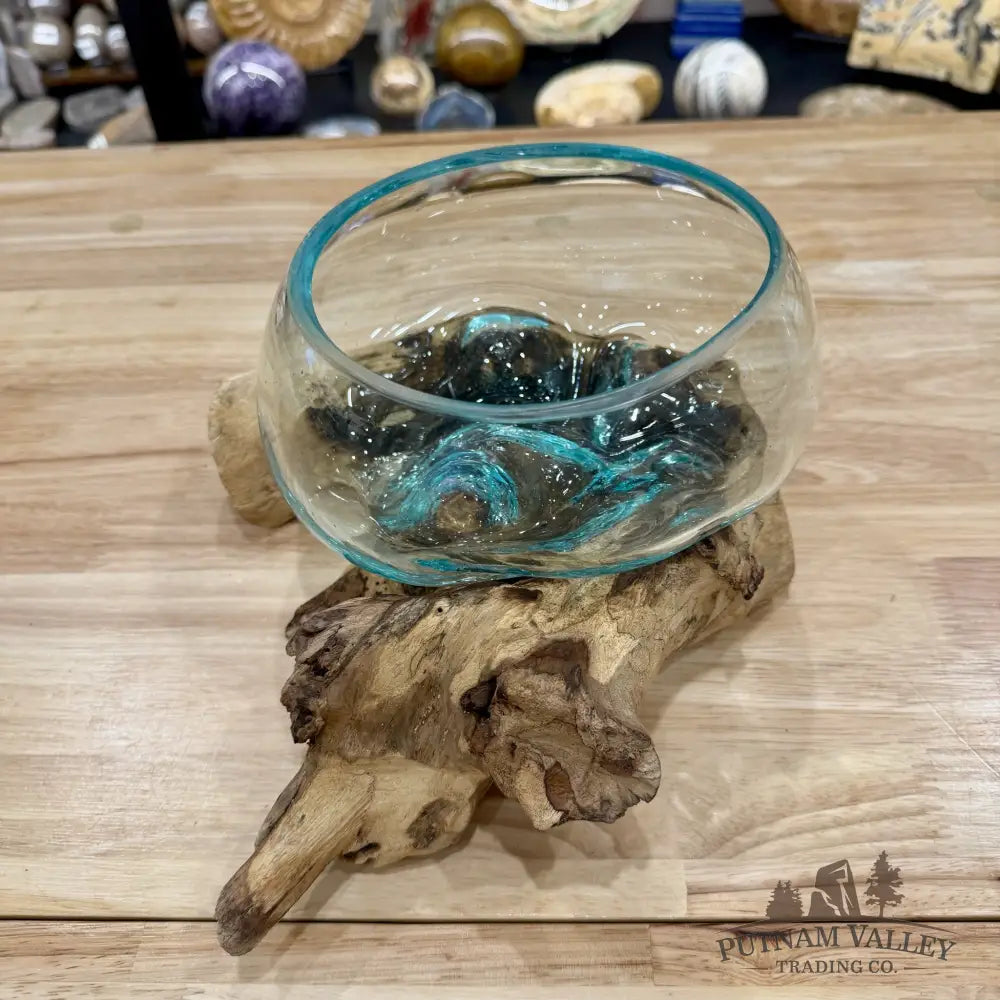 Molten Glass Bowl on Indonesian Driftwood 11.7’’ - Bowl