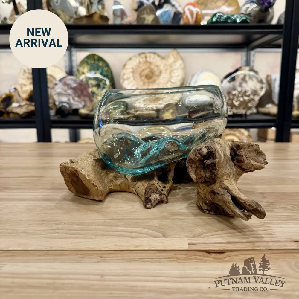 Molten Glass Bowl on Indonesian Driftwood 11.7’’ - Bowl