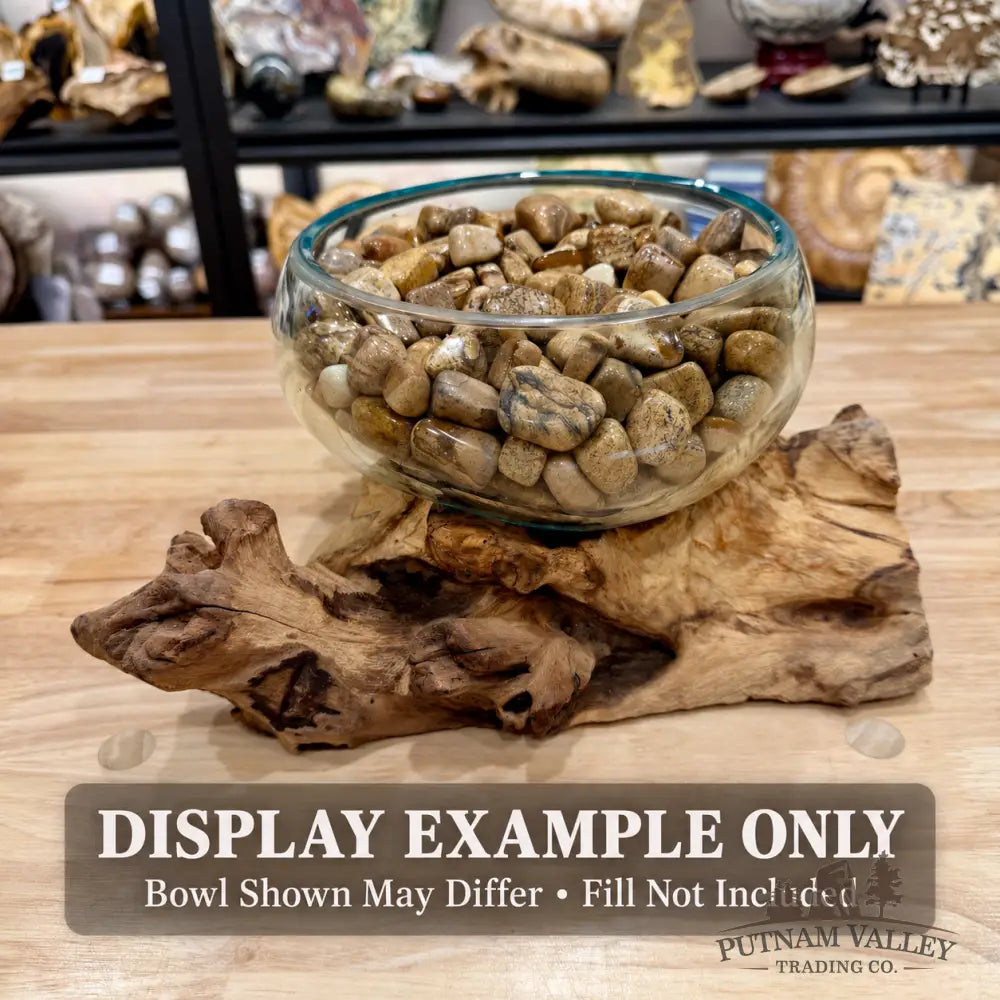 Molten Glass Bowl on Indonesian Driftwood 12.5’’ - Bowl