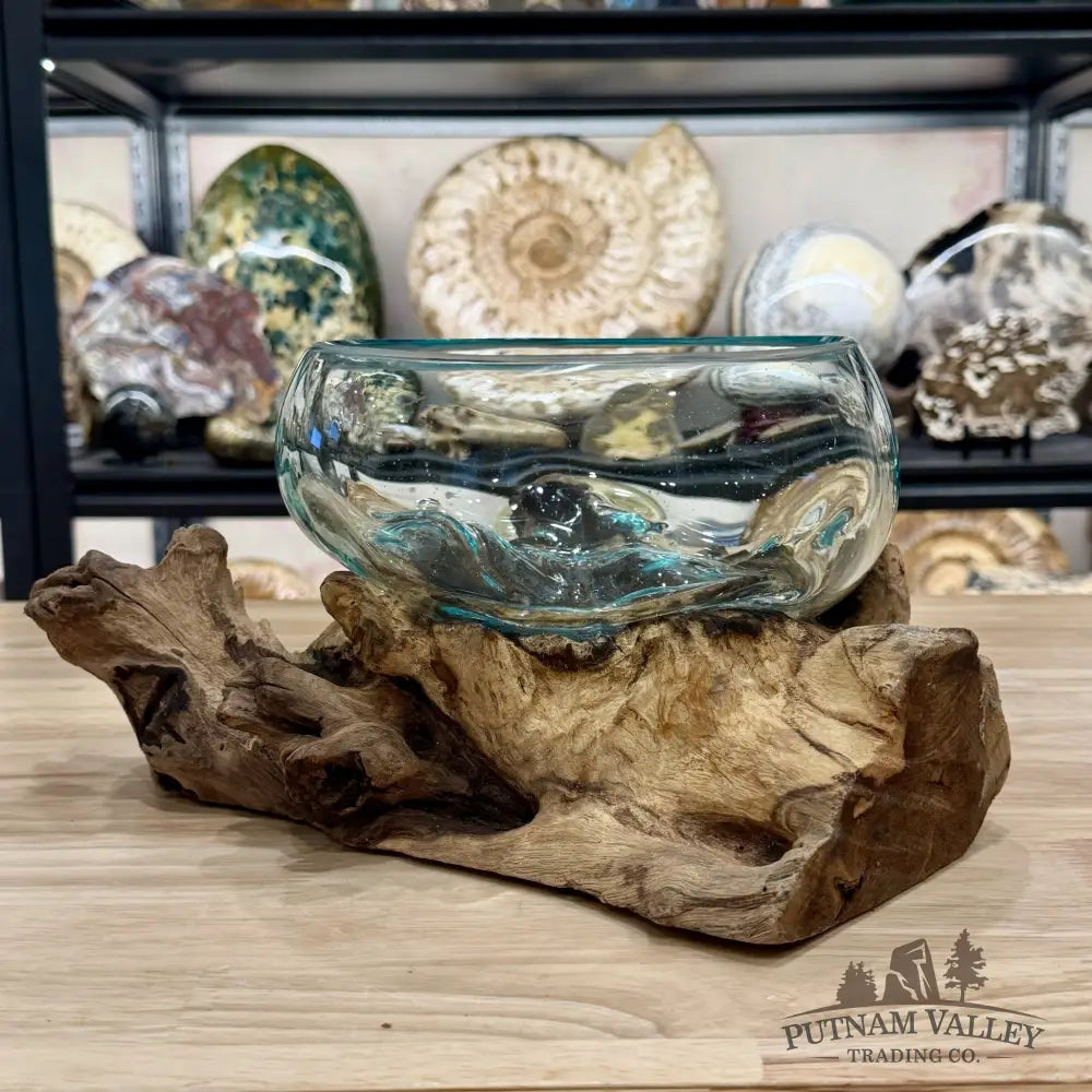 Molten Glass Bowl on Indonesian Driftwood 12.5’’ - Bowl