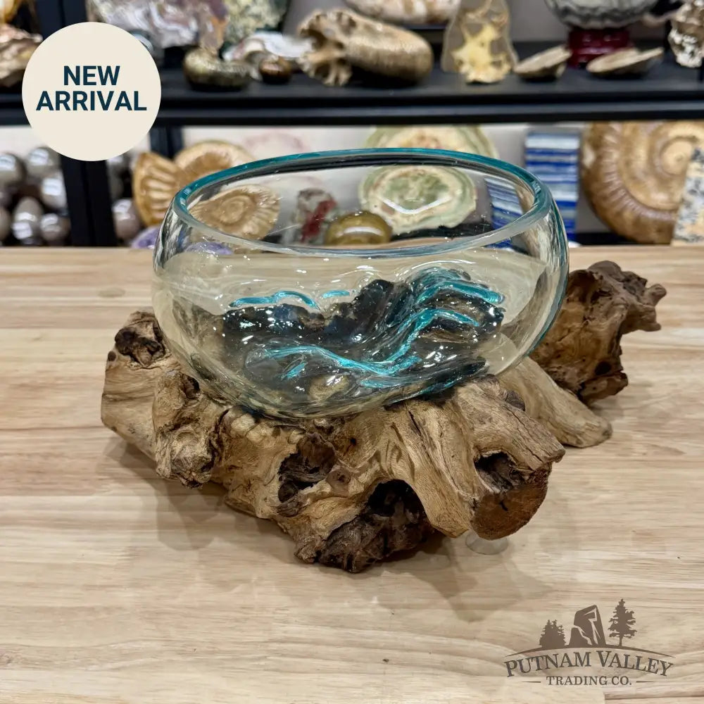 Molten Glass Bowl on Indonesian Driftwood 12.5’’ - Bowl