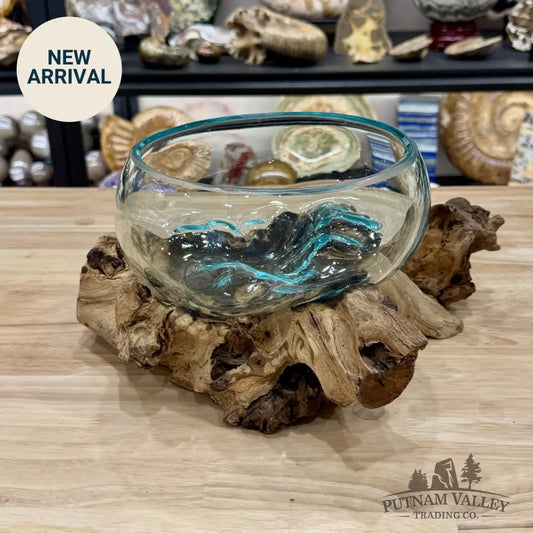 Molten Glass Bowl on Indonesian Driftwood 12.5’’ - Bowl