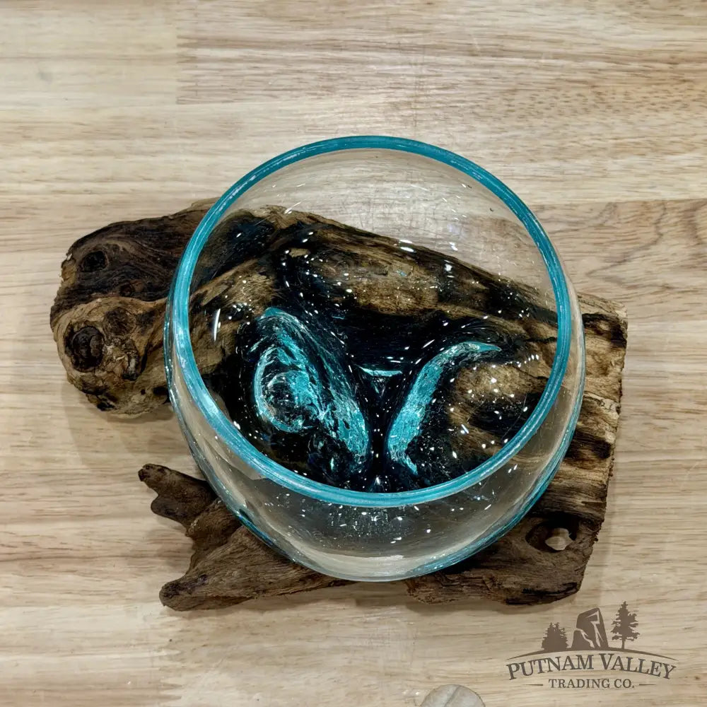 Molten Glass Bowl on Indonesian Driftwood 6.1’’ - Bowl